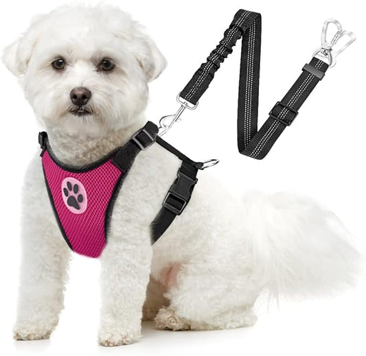 SlowTon Dog Seat Belt Harness for Car, Dog Car Harness Adjustable Mesh Breathable & Dog Seatbelt Safety Tether with Elastic Bungee for Small Medium Large Pets(Fuchsia, Double Clip, S)