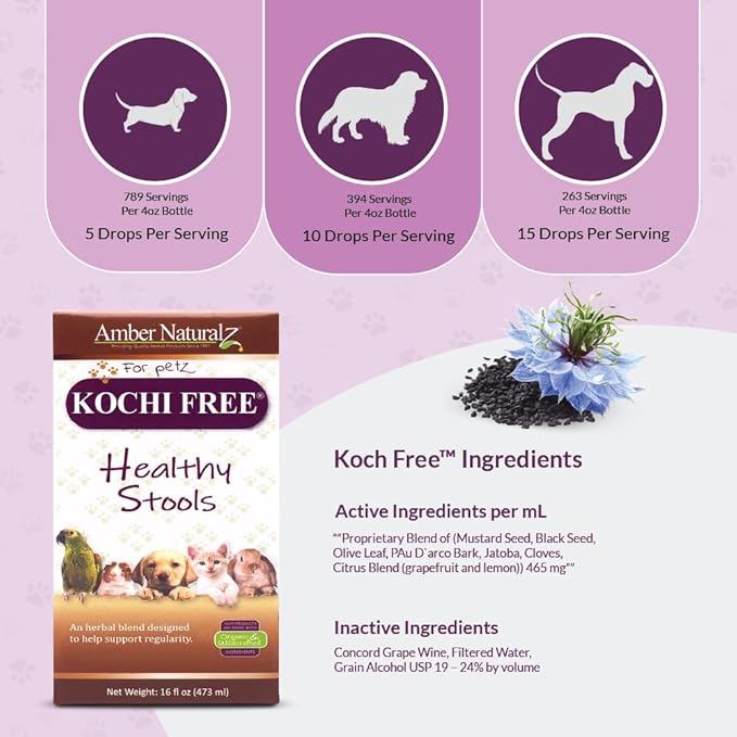 Amber NaturalZ Kochi Free Herbal Supplement for Dogs, Cats, Birds, Rabbits, and Guinea Pigs | Supports Healthy Bowel Function | Natural Aid for Digestive Balance | 16 Fluid Ounce Glass Bottle
