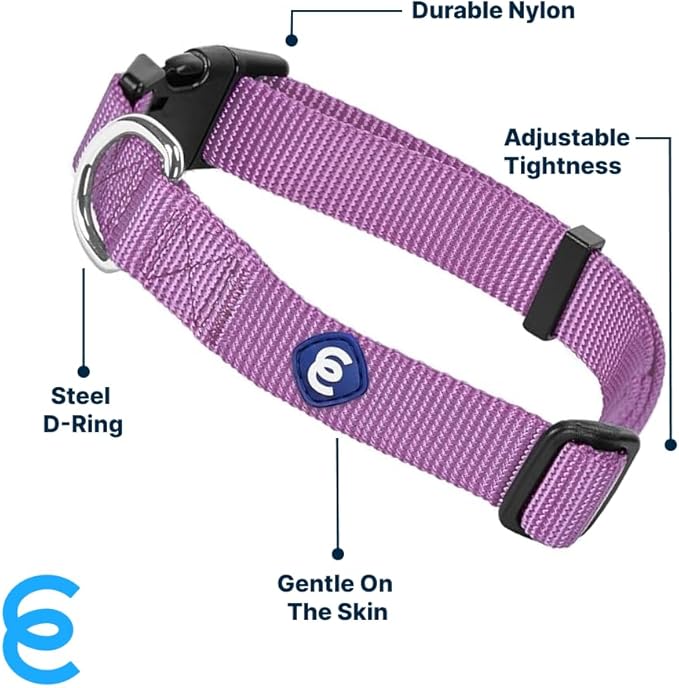 Blueberry Pet Essentials Matching Medium Dog Collar | Adjustable Classic Solid Color Nylon Dog Collars for Medium Dogs | Purple Dog Collar for Medium Dogs