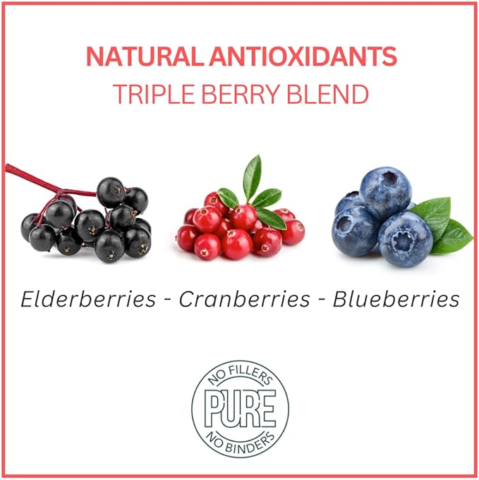 Bench & Field Holistic Natural Chicken Liver & Triple Berry Dog Treats | Crunchy Bone-Shaped Bites | Antioxidant Blend, 10-Ounce Bottle