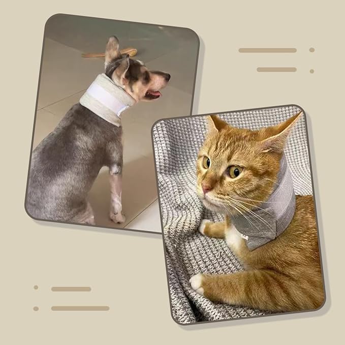 MANON ROSA Cat Neck Brace Elizabethan Collar for Pet After Surgery Recovery Adjustable Breathable Neck Cervical Cone for Small Medium Dogs Puppies Kittens with Spinal IVDD Issues (S 5.5-11",Grey)