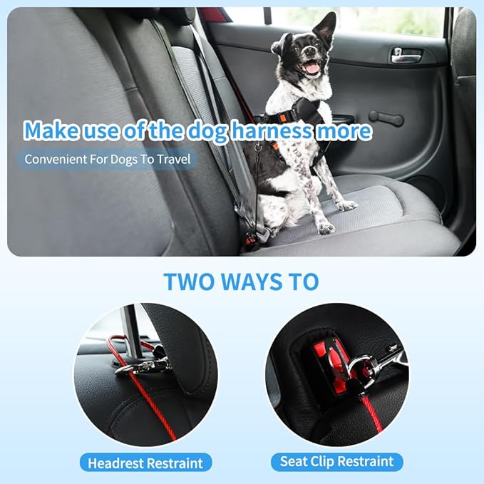 Dog Seat Belt Harness for Car,Dog Seatbelt of Coated Wire Leash Safety Restraint,No Chew Tether Cable Vehicle Dog Accessories,Double Clips & Latch (Black, 32 inch/80 CM)