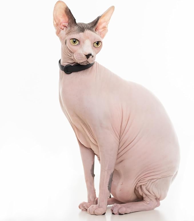 Black Cat Collar - Soft, Comfortable, and Lightweight Breakaway Collar with Name Tag Ring for Outdoor Cats and Sensitive Skin Pets by Nuvuq (6 ⅞" to 10 ¼", Black)