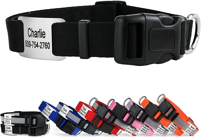 GoTags Personalized Dog Collar with Nameplate, Adjustable Dog Collar with Custom Engraved Slide On Pet ID Tag in Stainless Steel, Silent, No Noise Dog Tag for Large Medium and Small (Black, X-Small)
