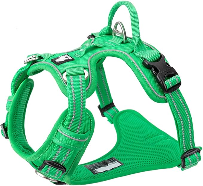 TRUE LOVE Dog Harness No Pull Nylon Reflective Pet Harness Adjustable Comfortable Control Step-in Brilliant Colors Truelove TLH56512 XS Grass Green