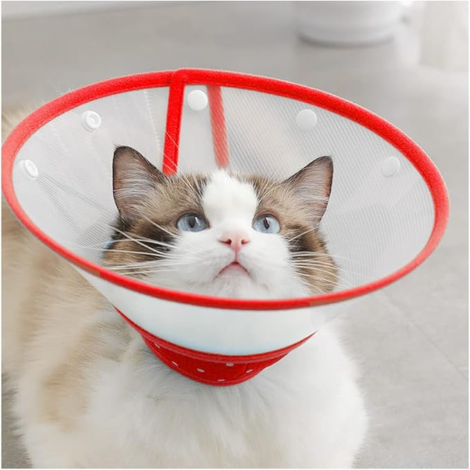 Pet Cone Recovery Dog Cone Adjustable Dog Collar Clear Padded Collar with Breathable Soft Edge, Plastic Puppy Cone Protect The Neck Surgery Recovery, Designed for Cats and Puppies (Medium, Red)