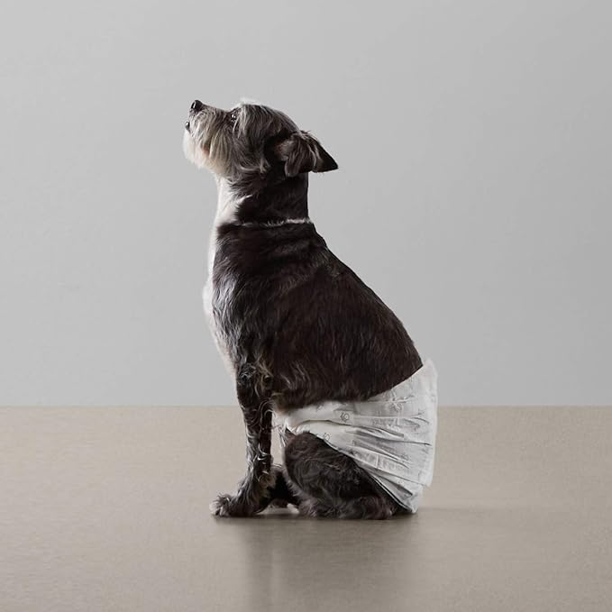 Amazon Basics Male Dog Diapers, 30 Count, Small, Ultra Absorbent Disposable Wrap with Secure Fit, Leakproof and Comfortable