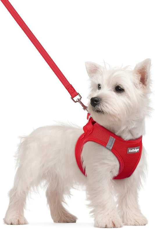 rabbitgoo Dog Harness Small Sized and Leash Set, Step in Soft Light Puppy Vest, Breathable Mesh Pet Harness, Reflective for Safe Easy Walking, Red S
