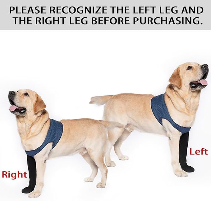 COODEO Dog Socks to Prevent Licking Paws, Healing Boots & Paw Protectors with Non-Slip Bottoms for Wound Protection, Waterproof Sleeve Shoes for Licking（Blue，2XL_Left