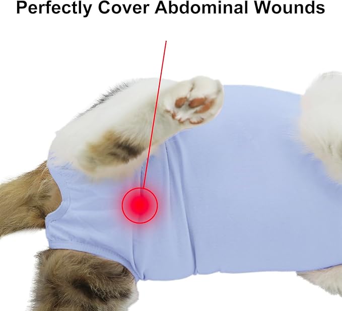 Cat Recovery Suit, Surgical Recovery Clothes for Abdominal Wound or Skin Disease, Cats Onesie After Surgery and Spay, E-Collar Alternative Pajama Suit (Blue, Small)
