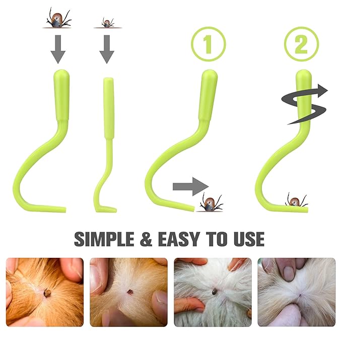 Cat & Dog Grooming Set - Fine Tooth Comb For Grooming And Removing Dandruff Flakes Remove Float Hair Tear Marks (green)