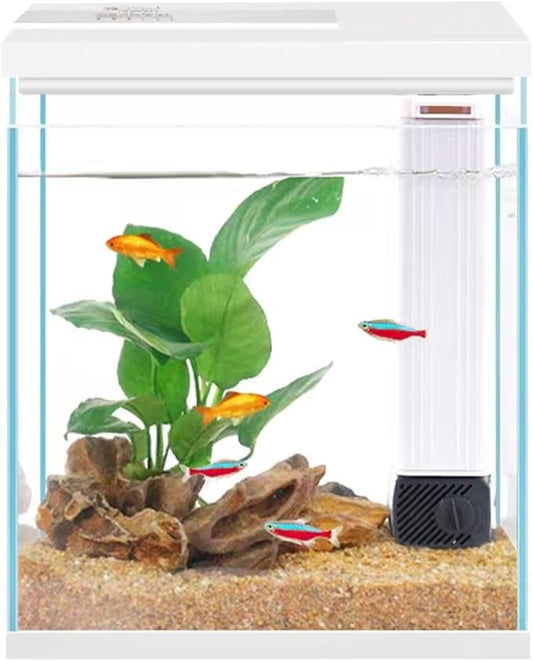 Betta Fish Tank, 2 Gallon Glass Aquarium Starter Kit, Small Fish Tank with Filter and Light.