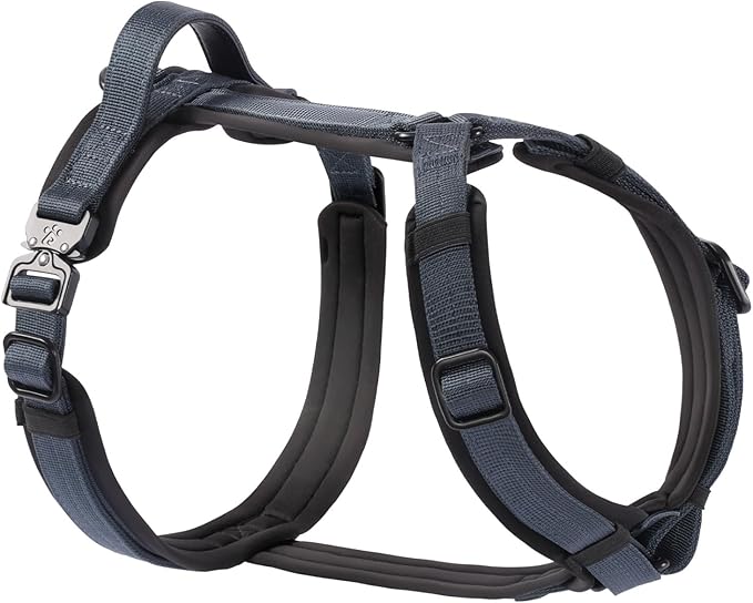 CLEPAWS Dog Harness for Medium Dogs, No Pull Dog Harness Easy Walk with Metal Hardware, Ergonomic Y-Shaped Design, Soft Padding, Padded Handle, Durable High-Tensile Nylon (Nightfall, M)