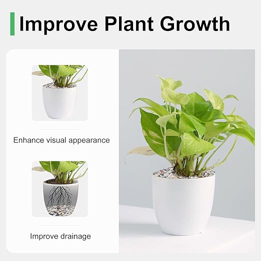 5 lbs Small Rocks for Plants, 1/5 Inch Pebbles for Indoor Plants, Natural Decorative Pea Gravel for Aquarium, Fish Tank, Terrarium, Succulents, Bamboo Plants, Vases, Cactus, Crafts