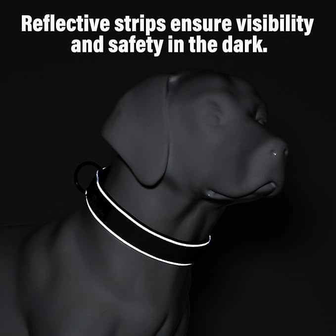 Plutus Pet Tactical Dog Collar, Reflective, Adjustable Heavy Duty Dog Collar, Soft Padded and Comfortable, for Small Medium and Large Dogs (Hot Pink, S)