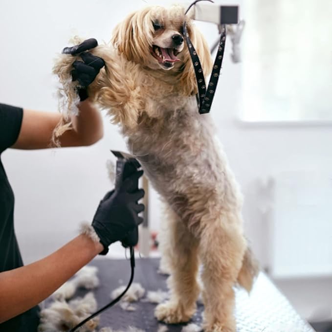 5PCS Dog Grooming Blades Compatible with Andis/Oster A5/Wahl KM Series Dog Clipper Blades Size:#10+30+40+5FC+7FC