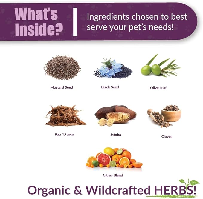 Amber NaturalZ Kochi Free Herbal Supplement for Dogs, Cats, Birds, Rabbits, and Guinea Pigs | Supports Healthy Bowel Function | Natural Aid for Digestive Balance | 16 Fluid Ounce Glass Bottle