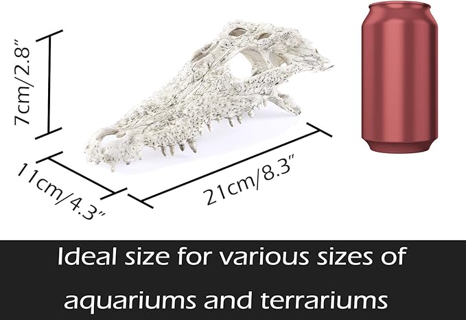 Animal Skull Fish Aquarium Hideout Decorations Cave Dinosaur Reptile Ornament Halloween Décor for Terrarium Large Betta Decor Bones