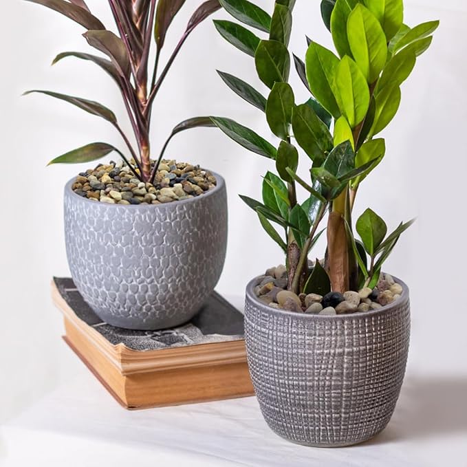 5lbs Natural River Rocks for Plants, 3/8" Aquarium Gravel Decorative Polished Mixed Pebbles for Fish Tank, Gardening, Flower Pots, Vase Fillers, Indoor Water Fountains, Landscaping