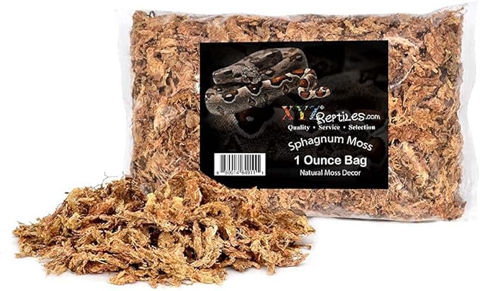 Boa Constrictor Habitat 10 Gallon Terrarium Kit