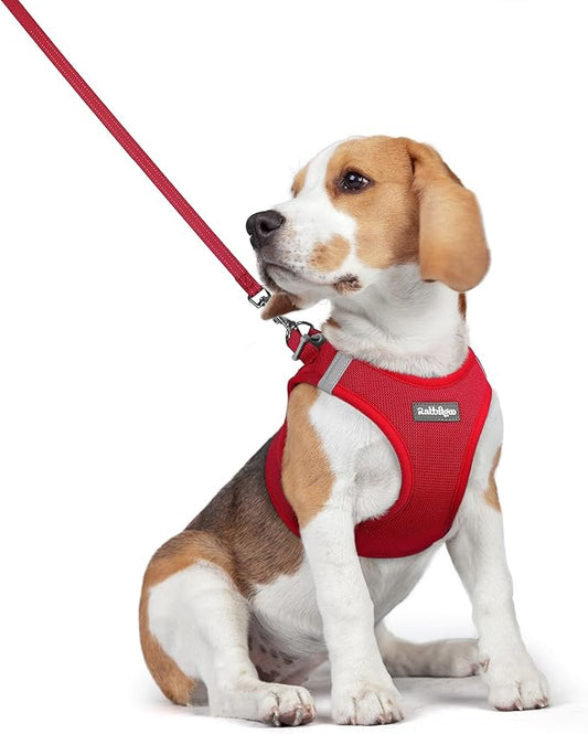 rabbitgoo Dog Harness Small Medium Sized and Leash Set, Step in Soft Light Puppy Vest, Breathable Mesh Pet Harness, Reflective for Safe Easy Walking, Red L