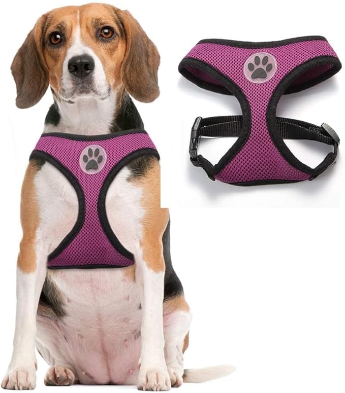 BINGPET Dog Vest Harness -Light Weight Breathable Sports Mesh - Pet Adjustable Harness Puppy Padded Harnesses Dog Vest Harness for Small Dogs