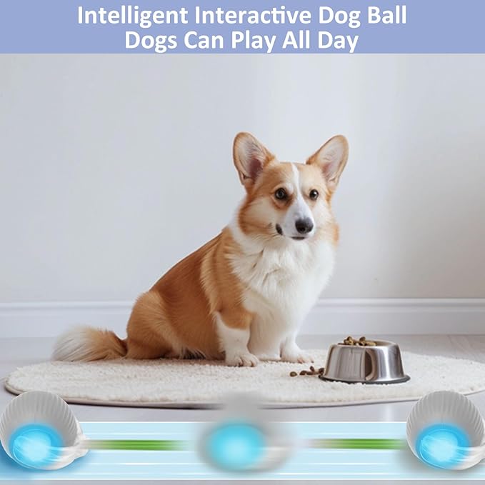 Chewie Viral Rolling Ball, Interactive Cat Toys Ball for Indoor, Cats Interactive Self Rolling Ball Dog Ball Automatic Cat Toy 360° Smart Automatic Rolling Pet Ball (Grey)