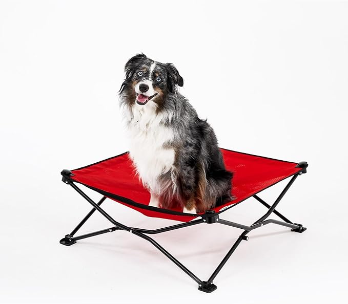 Coolaroo On-The-Go Elevated Dog Bed - Foldable Pop-Up Travel Dog Bed with Breathable, Moisture-Resistant Fabric, Carry Bag Included, Lightweight & Portable, Red, Medium