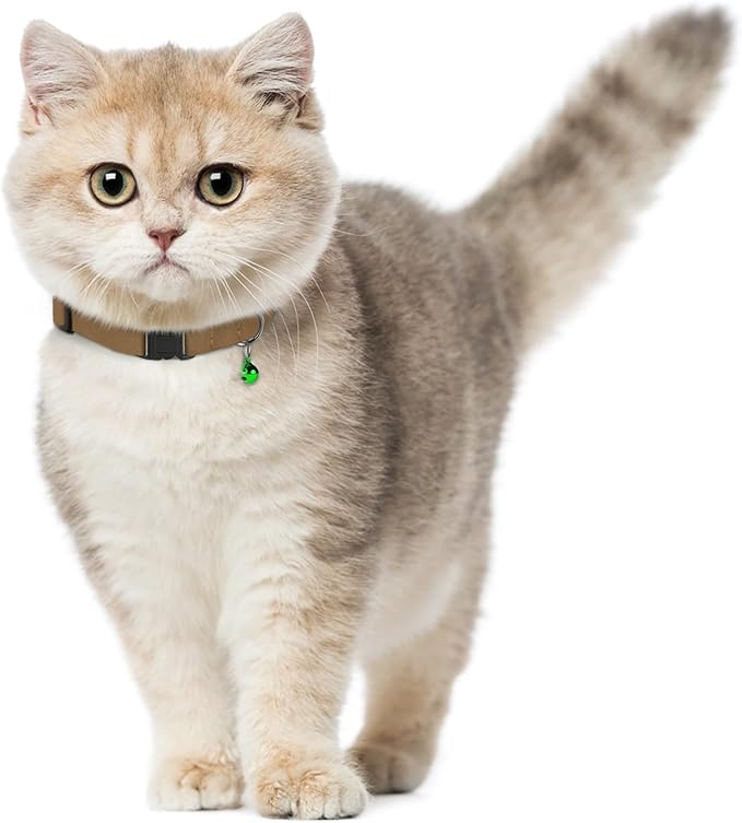 Breakaway Cat Collar Leather with Removable Bell - 13 Colors Available - Soft Adjustable Girl Boy Safety Lightweight Pet Kitten Collars Pink Brown Blue Green Red Orange Black (Aquamarine)