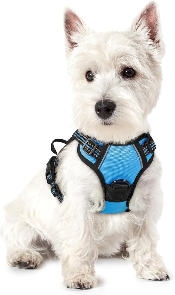 rabbitgoo Dog Harness No Pull with 2 Leash Clips, Adjustable Soft Padded, Reflective Oxford No Choke Pet Vest with Easy Control Handle for Puppy, Blue, XS