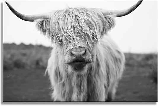 XXMWallArt FC3681 Highland Cow Canvas Art - Black and White Animal Wall Art for Living Room, Bedroom, Office Wall Decor