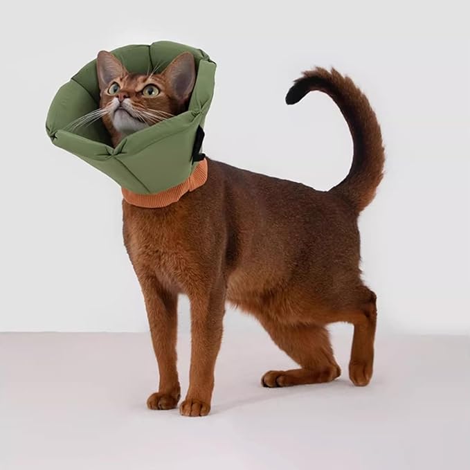 Cat Cone Collar - Soft Waterproof Elizabethan for Cats, Cute Green Flower Anti-Lick Recovery Collar, Adjustable Healing Collar for Wound Care & Surgery，M
