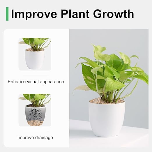 2.5 lbs Coarse Silica Sand for Indoor Plants, 1/5 Inch Natural Decorative Gravel for Vases, Aquariums, Terrarium, Fish Tank, Drainage Rocks for Potted Plants, Bamboo, Succulent, Crafts, Cactus