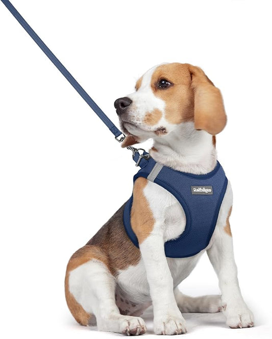 rabbitgoo Dog Harness Small Medium Sized and Leash Set, Step in Soft Light Puppy Vest, Breathable Mesh Pet Harness, Reflective for Safe Outdoor Walking, Navy Blue L