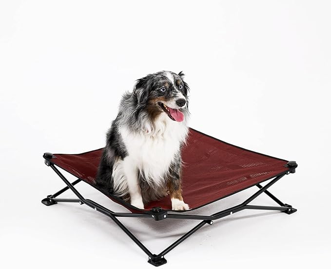 Coolaroo On-The-Go Elevated Dog Bed - Foldable Pop-Up Travel Dog Bed with Breathable, Moisture-Resistant Fabric, Carry Bag Included, Lightweight & Portable, Brick, Medium