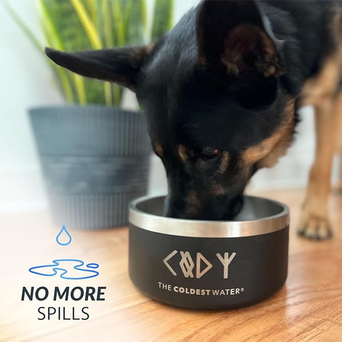 Coldest Dog Bowl - Anti Rust Metal, Non Slip, 3 Layers Insulated Stainless Steel Dog Bowls - Spill Proof & Heavy Duty - Water Bowl for Dogs, Cats, Dish Washer Safe (42 oz, Polished Stainless Steel)