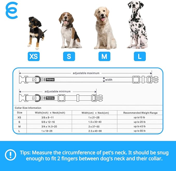 Blueberry Pet X-Small Adjustable Boy Dog Collar | for Male Dog, Durable & Quick Release for Pet Owners