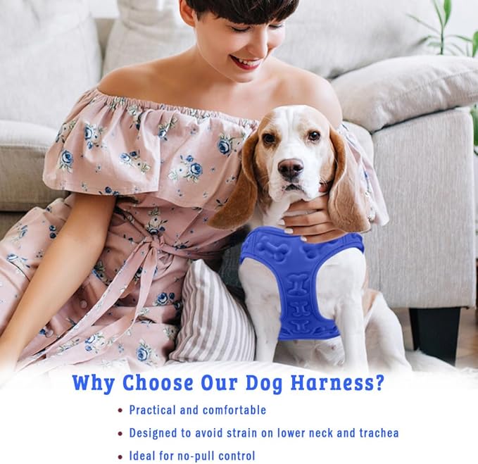 Comfort Fit Dog Harness No Pull with 2 Leash Clips Step in Harness for Small Sized Dogs Soft Padded Comfortable All Weather Dog Vest with Easy Control Adjustable Buckles for Dogs & Puppies – Blue XS