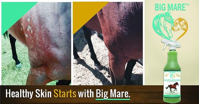 All Purpose Horse Skin & Wound Care 32oz | First Aid: for Girth Itch, Insect & Fly Bites, Crud, Itchy Manes & Tails & Hair Loss | Vet Approved & Recommended