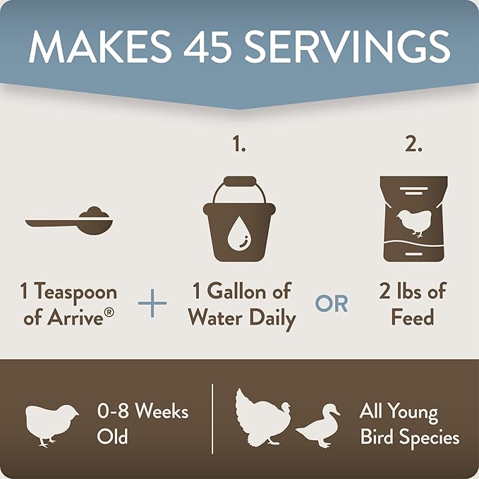 Arrive, Daily Probiotic & Prebiotic Poultry Supplement for Young Chickens 0-8 Weeks Old, 8 oz