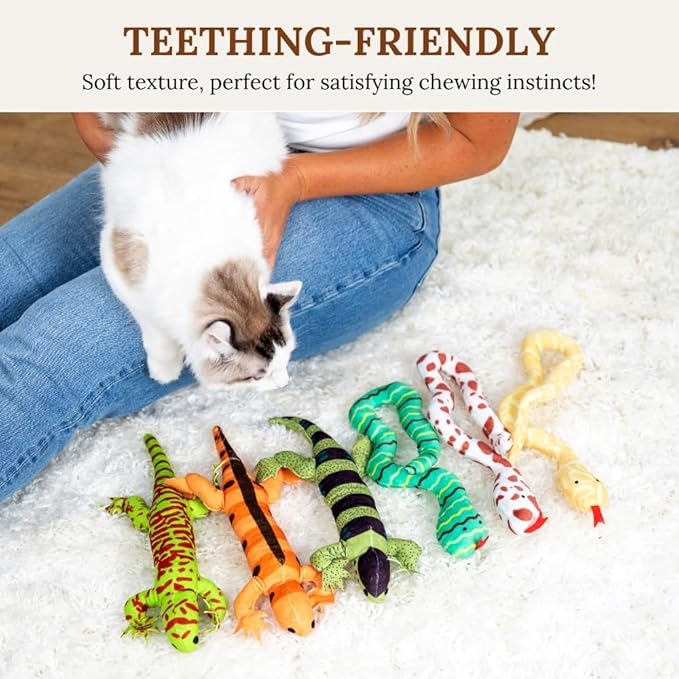 Cat Toy Snake Lizard Catnip Toys Chew Bite Resistant Toys for Indoor Cats Boredom Relief Teeth Cleaning Interactive Funny Cute Kitten Cat Lover Gifts Set of 6 Realistic Hunt Prey Activity Games