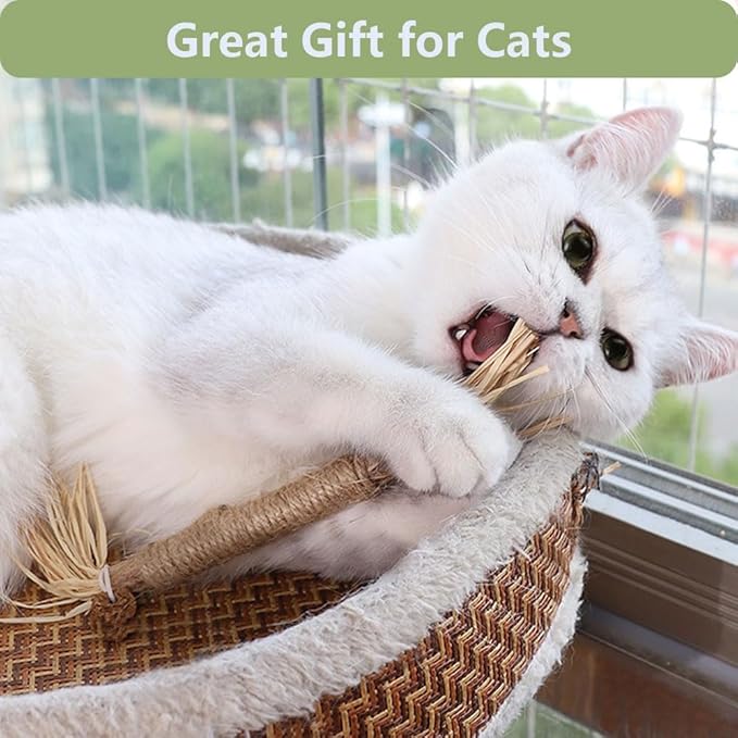 5 PCS Silvervine Sticks for Cats - Natural Cat Chew Toys for Teeth Cleaning, Kitten Teething & Aggressive Chewers