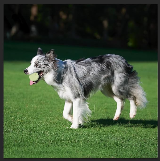 Amazon Basics Dog Toys, Interactive Glow Rubber Balls, (Pack of 3), 2.5 inch, Beige