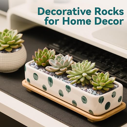 2.5 lbs Natural Pea Gravel Pebbles for Aquarium, Fish Tank, 3/8 inch Decorative Pebbles for Indoor Plants, Succulent, Bamboo, Vase, Drainage Rocks for Potted Plants, Top Dressing, Mixed Color