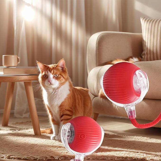Cat Toys Cat Toys for Indoor Cats Interactive Cat Toys Smart Obstacle Avoidance Cat Ball Indoor Cat Boredom Interactive Toys (Grizzly)