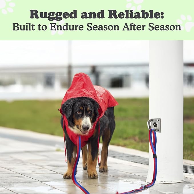 Canine Hitch- Secure Dog Leash Parking Mounted Indoor – Outdoor Wall Hook - Tie Out Stainless Steel Practical Lead Management for Home & Business, Ultimate Strength 6 Packs