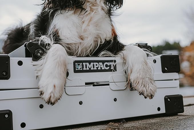 Impact Collapsible Dog Crate - Foldable Hard Crate for Intermediate Dogs - Heavy Duty Travel Kennel with Powder-Coated Aluminum - Quick Setup for Indoor & Outdoor (Black, 34" (34.5" L x 23" W x 29" H)