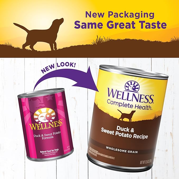 Wellness Complete Health Natural Wet Canned Dog Food, Duck & Sweet Potato, 12.5-Ounce Can (Pack of 12)