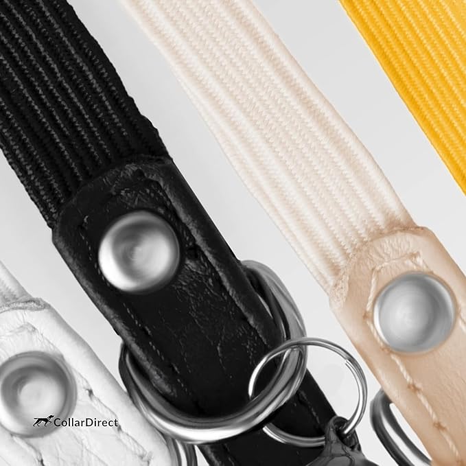 CollarDirect Leather Cat Collar, Kitten Collar with Removable Bell Black Blue Red Orange Lime Green (6-7 Inch, Purple)