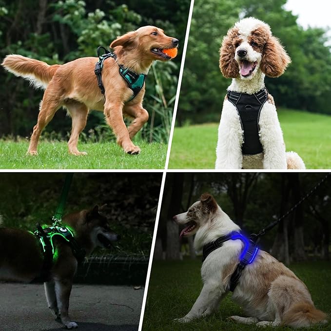 Taglory Light Up Dog Harness, Rechargeable No Pull Dog Vest with 3 Lightning Modes, Reflective Dog Harness with 2 Leash Clips & 4 Adjustable Slide Strips for Large Dogs, Hotpink-Hotpink, XL